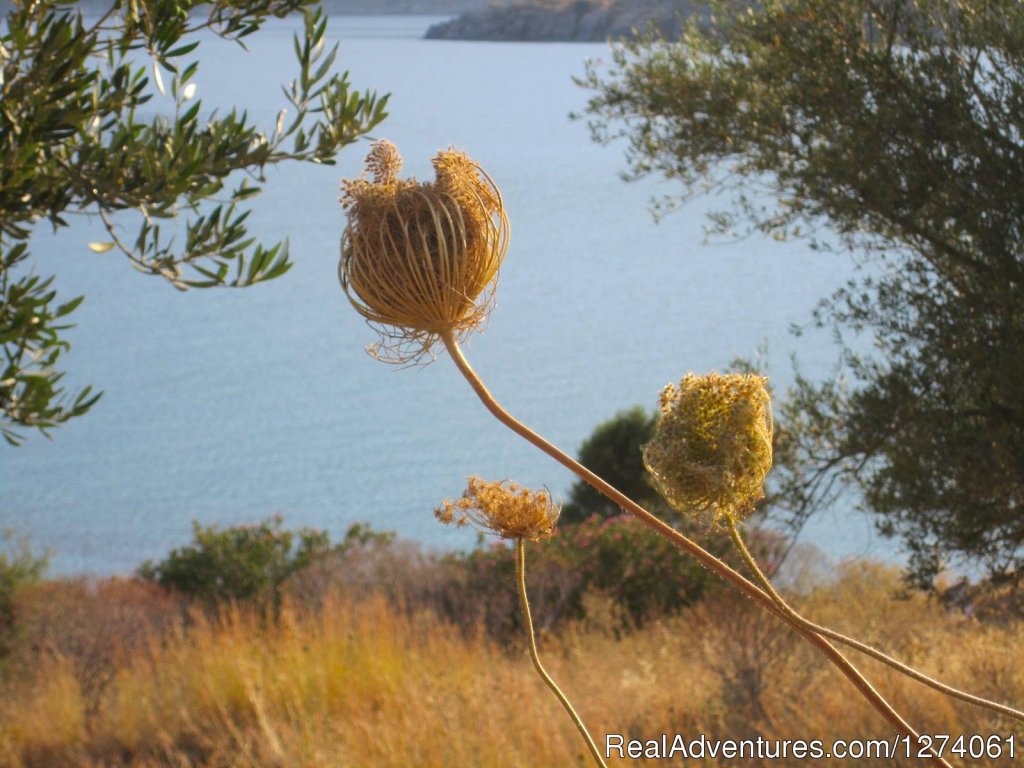 Nothing More, Nothing Less | Grazytravel: Tour mount Taygetos  by Bicycle (7 d) | Image #5/21 | 