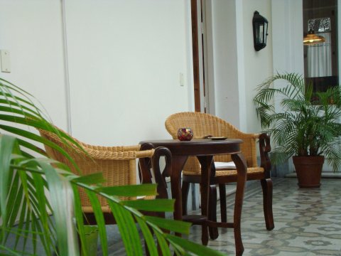 The first patio with palm trees