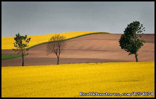 Polish Lanscape | Central Europe  Motorcycle  Golden Tour | Image #3/13 | 