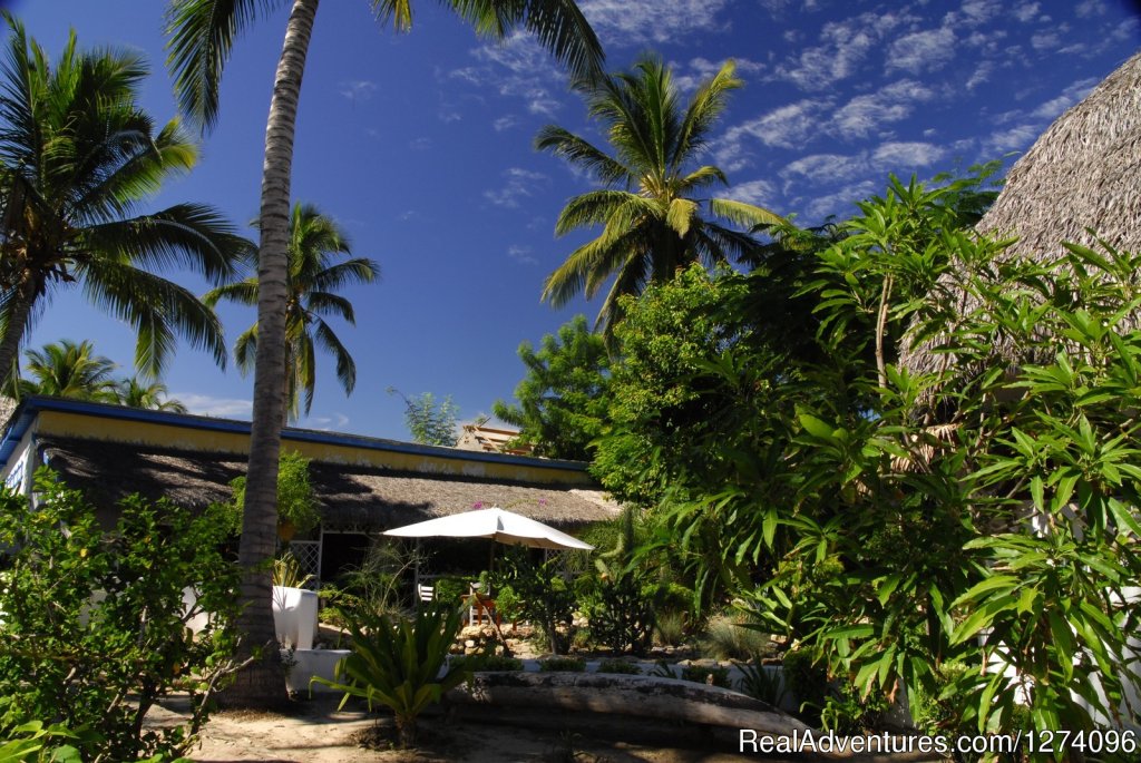 Garden at Chez Maggie Hotel | Chez Maggie Hotel Morondava Madagascar | Image #8/8 | 