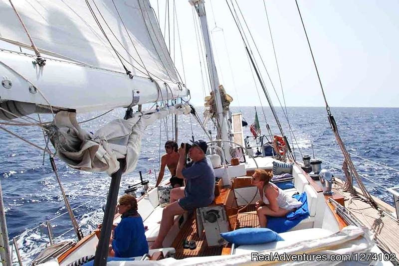 Charter Ibiza, Ibiza sailing vacations | Image #2/16 | 