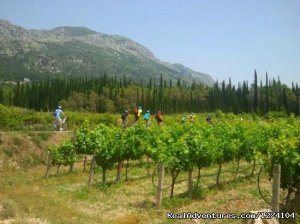 Dubrovnik Countryside Wine Tasting & Bike Ride | Dubrovnik, Croatia | Bike Tours