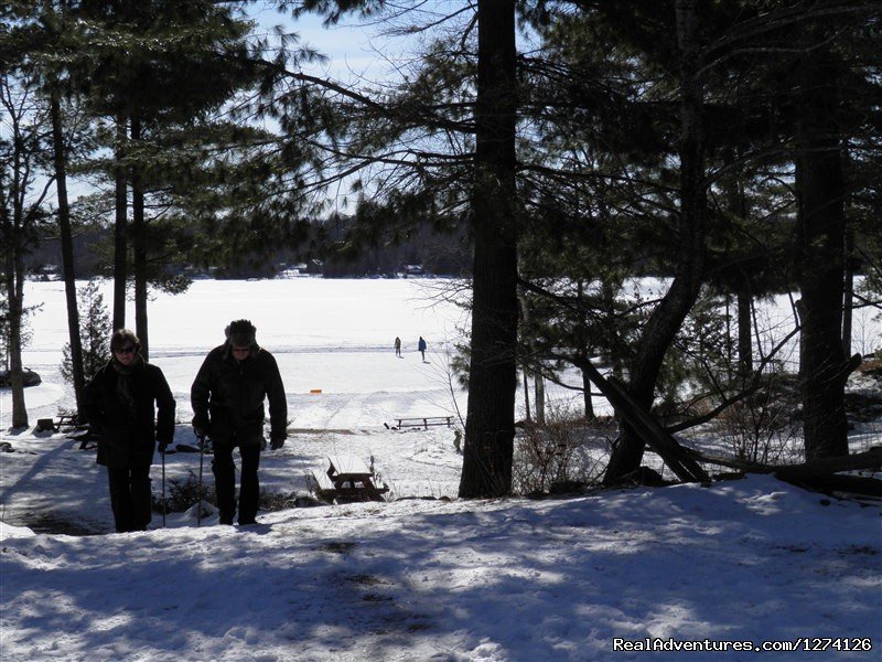 Skat | Westwind Inn on the Lake A Four Season Resort | Image #5/15 | 