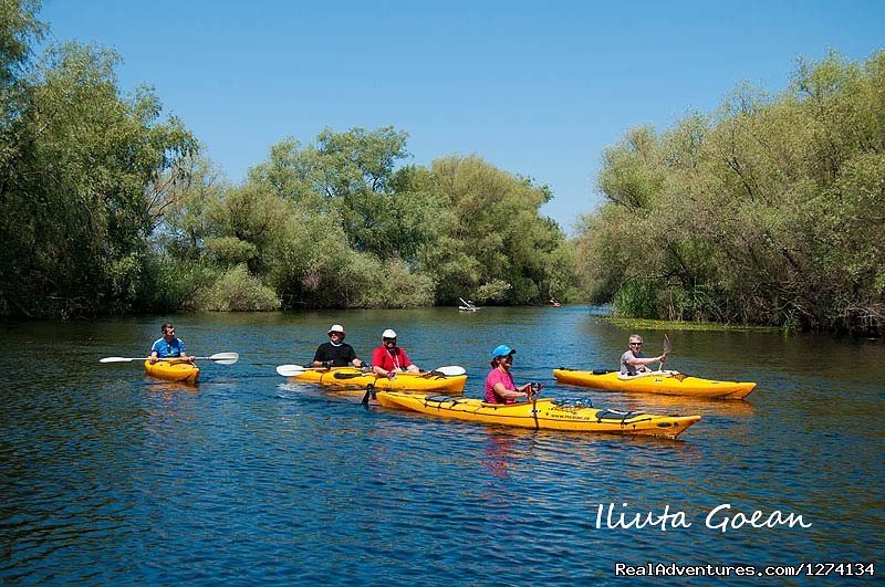 4 day Kayaking in Danube Delta Confort 2013 | Image #3/25 | 