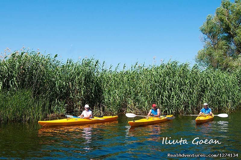 4 day Kayaking in Danube Delta Confort 2013 | Image #14/25 | 