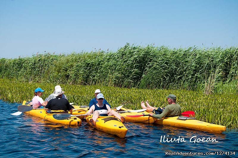 4 day Kayaking in Danube Delta Confort 2013 | Image #21/25 | 