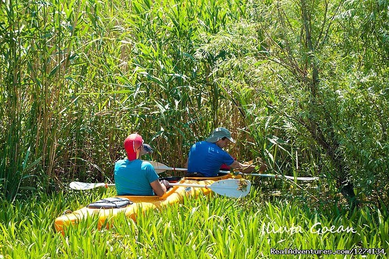 4 day Kayaking in Danube Delta Confort 2013 | Image #25/25 | 