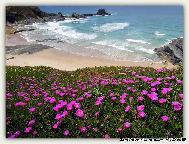 Coast Line | Fishermen´s Trail - Rota Vicentina | Image #4/9 | 