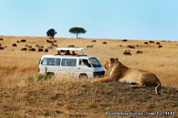 Mount Kenya | Inspiring Your Spirit Of Adventure | Image #2/5 | 