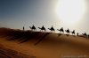 Morocco Safaris | Marrakech, Morocco