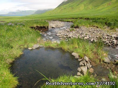 Aleutian Isalnd Hot Springs | Aleutian Adventure Trip | Dutch Harbor, Alaska  | Eco Tours | Image #1/4 | 