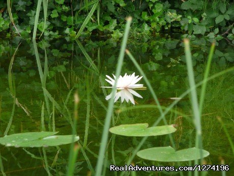 Yoga Retreats Amid Stunning Nature at In Sabina | Image #3/4 | 