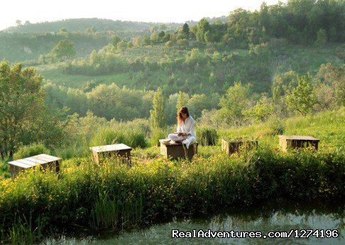 Yoga Retreats Amid Stunning Nature at In Sabina | Image #4/4 | 