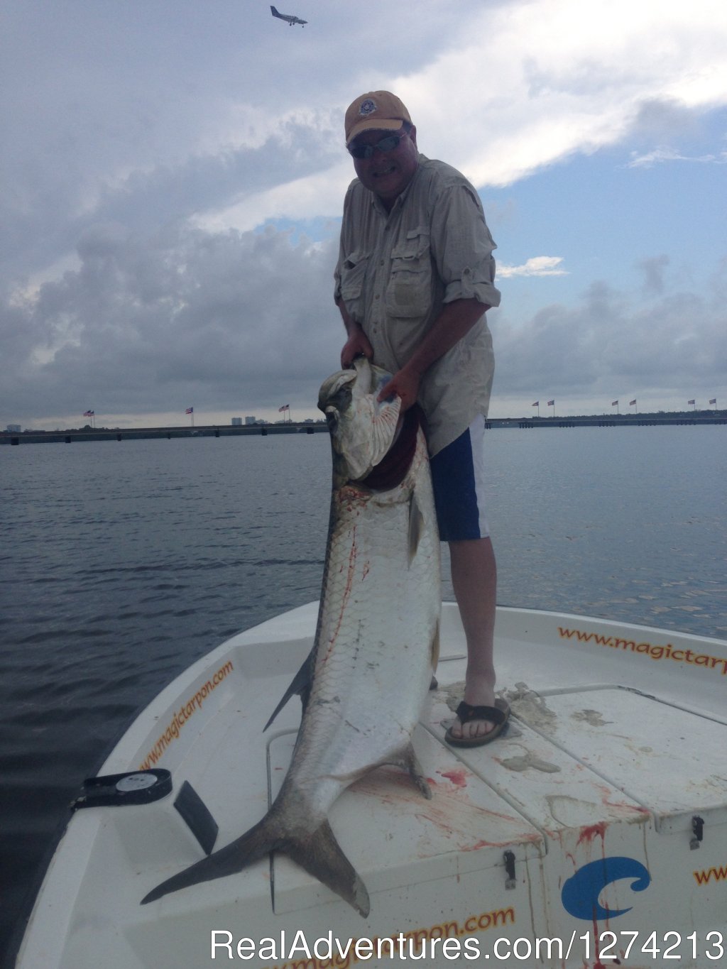 Big Tarpon | Tarpon And Snook Fishing In San Juan | Image #6/10 | 