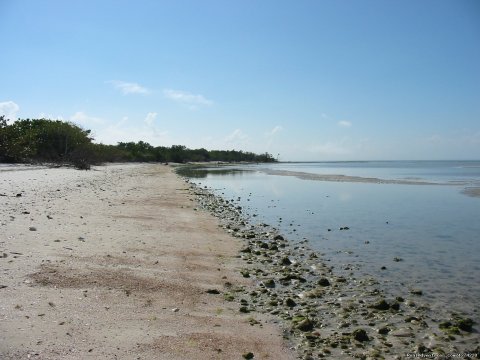 Isolated Island