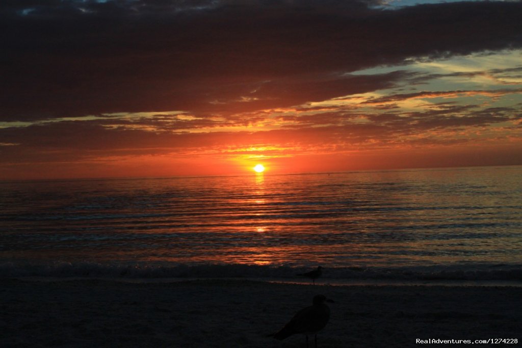 Sunset Tour | Nature:Boat,Fishing,Photo,Sunset,Birding,EcoTours | Image #18/19 | 