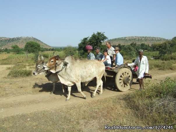 Will take you to the Historical Era | Royal Horse Safari in India | Image #5/6 | 