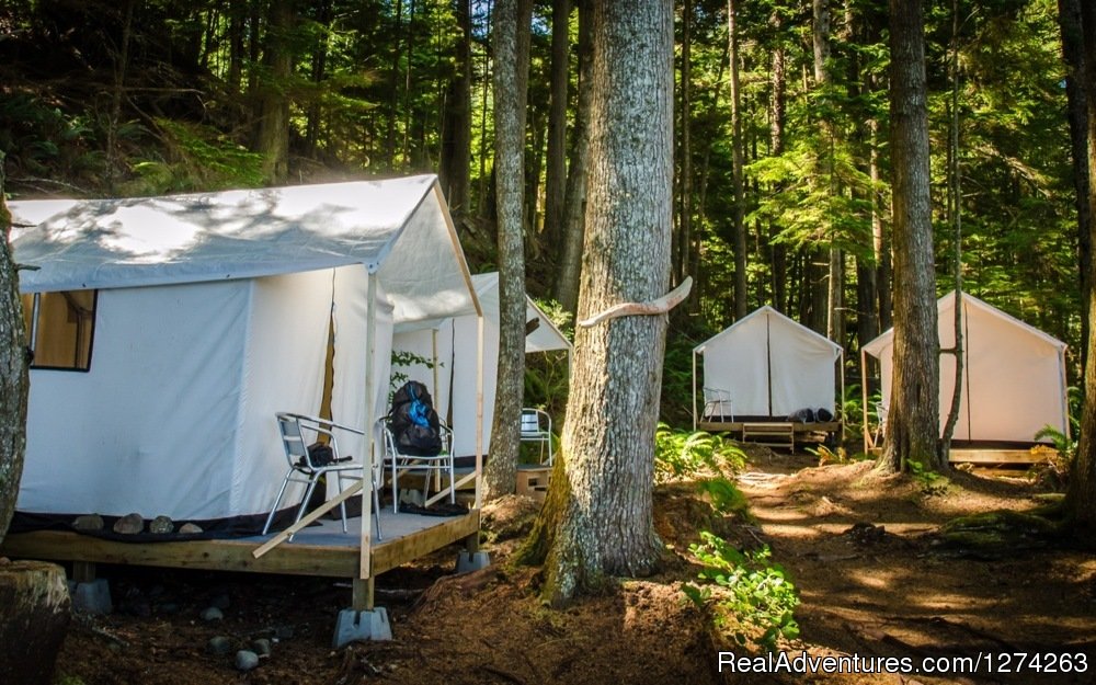 Safari Tents at Orca Camp | Wildcoast Adventures - kayak vacations & adventure | Image #3/19 | 