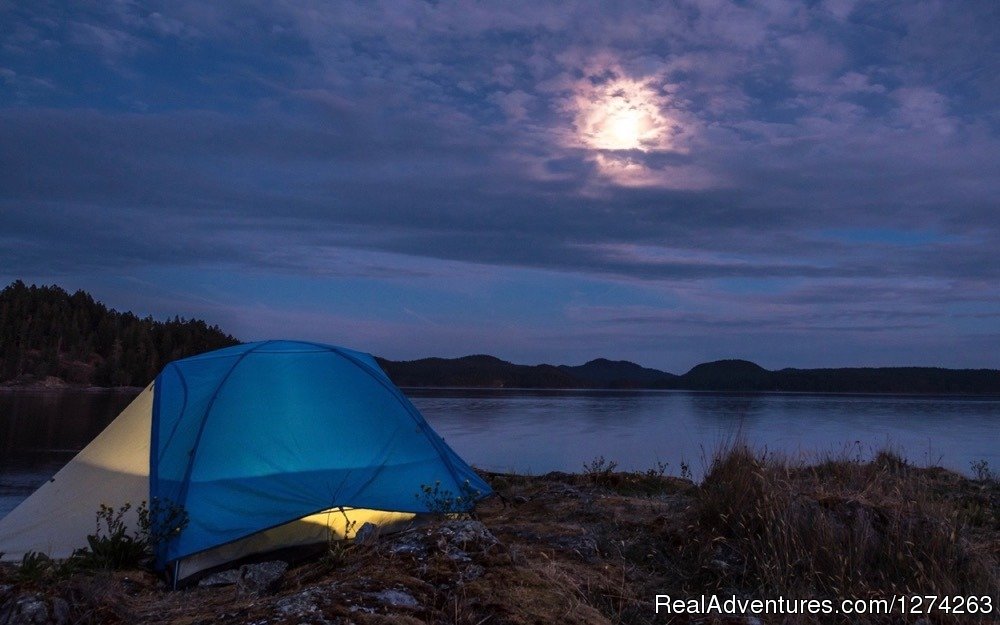 Camping in Discovery Islands, BC | Wildcoast Adventures - kayak vacations & adventure | Image #11/19 | 