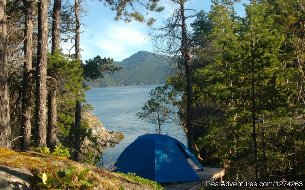 Desolation Sound Camping | Wildcoast Adventures - kayak vacations & adventure | Image #18/19 | 