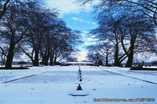 White Heavens - Shalimar Bagh Srinagar | KasHmiR ExotiCA - Enjoy The HEAVEN on Earth | Image #13/21 | 