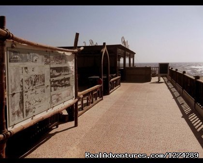 Hotel Terrace | Ali Baba Hotel Dahab | Image #16/26 | 