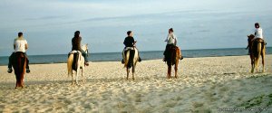 Horseback Riding on the Beach