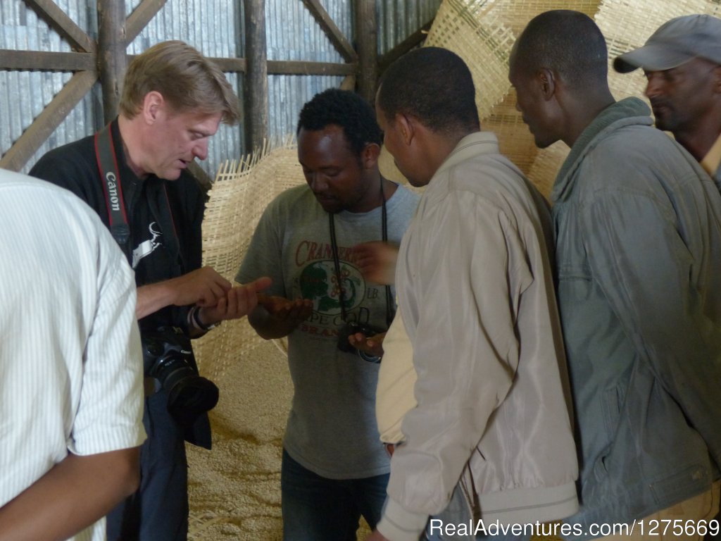 Coffee tour at Sidama Coffee Cooperative Union | Travel Ethiopia Packages | Image #3/5 | 