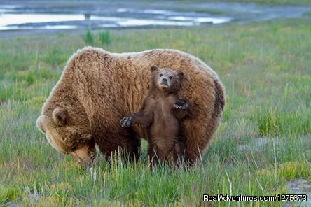 Mom and her Cutie Pie | 6 Hour Bear Tour | Image #6/6 | 