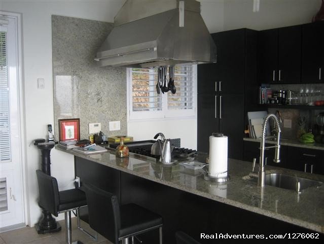 Gourmet kitchen | Vacation Rental is Virgin Islands | Christiansted, US Virgin Islands | Vacation Rentals | Image #1/10 | 