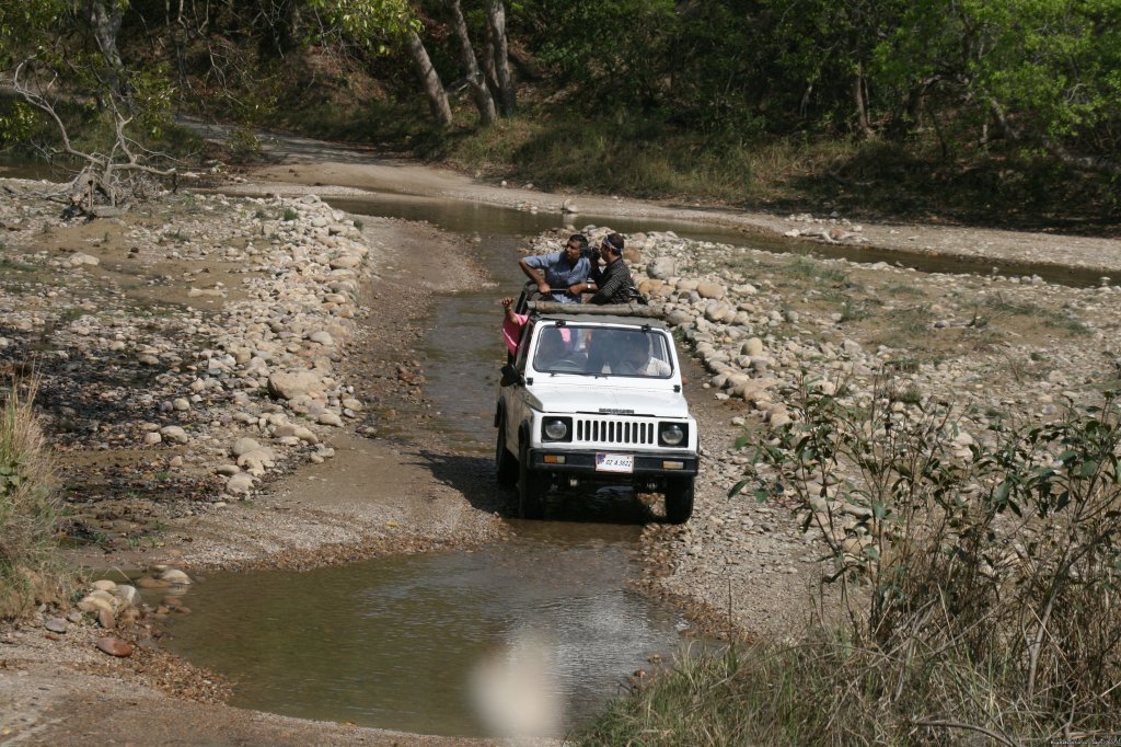 Corbett National Park | Image #11/26 | 