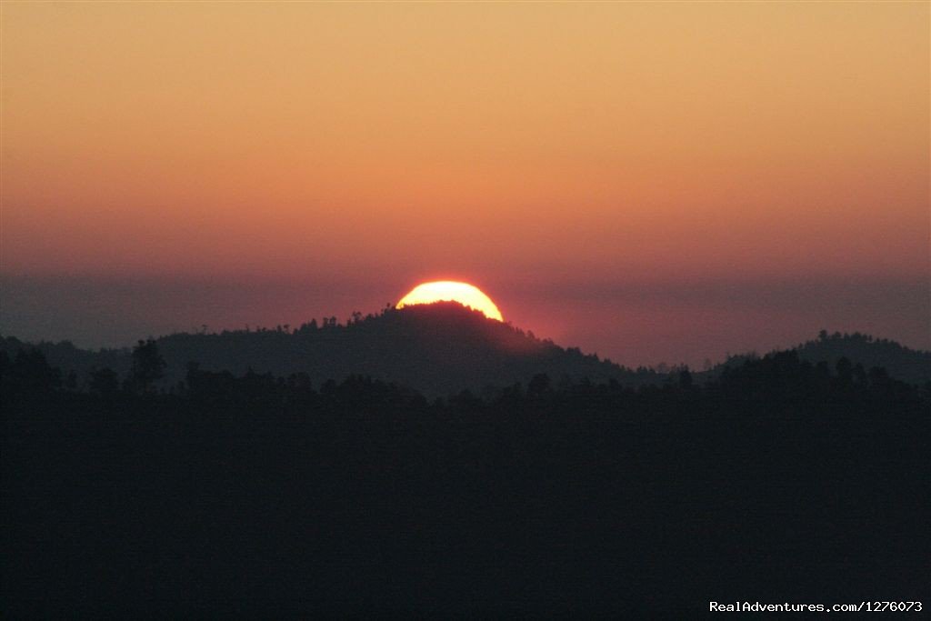 Corbett National Park | Image #15/26 | 