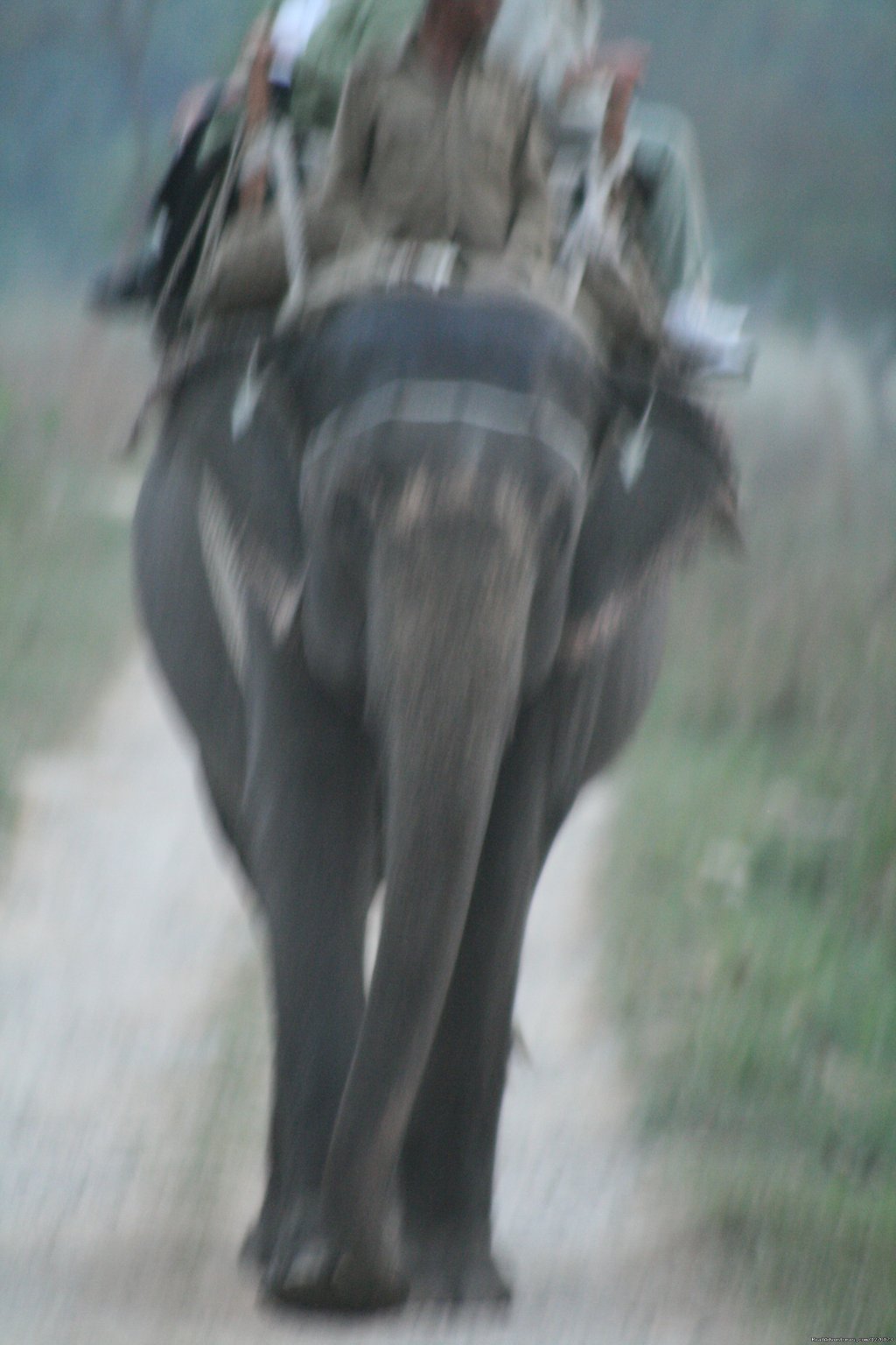 Corbett National Park | Image #25/26 | 