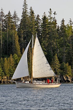 Custom Sailing Charters from Rockland, Maine