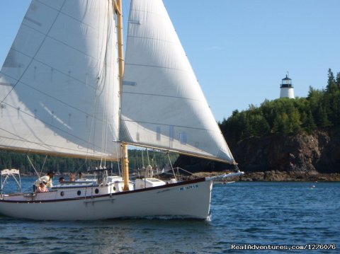 Sailing by Owl's Head light