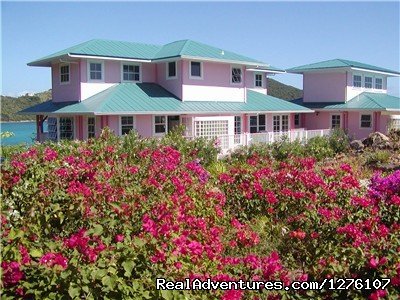 Flowers Everywhere | South Sound Luxury Waterfront Villa Virgin Gorda | Image #8/14 | 