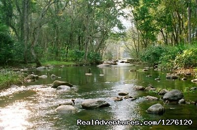 Campsite | Kerala - Chinnar Wildlife Trekking and Camping | Munnar, India | Hiking & Trekking | Image #1/1 | 