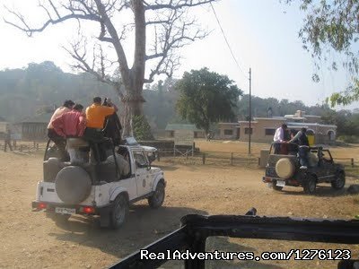 Jim Corbett National Park Tour | Image #5/7 | 