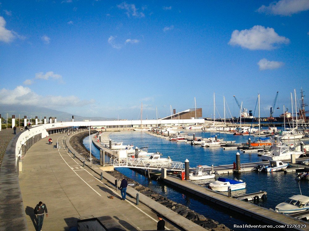 Mariginal | Self Catering Holiday House, Ponta Delgada city | Image #3/10 | 