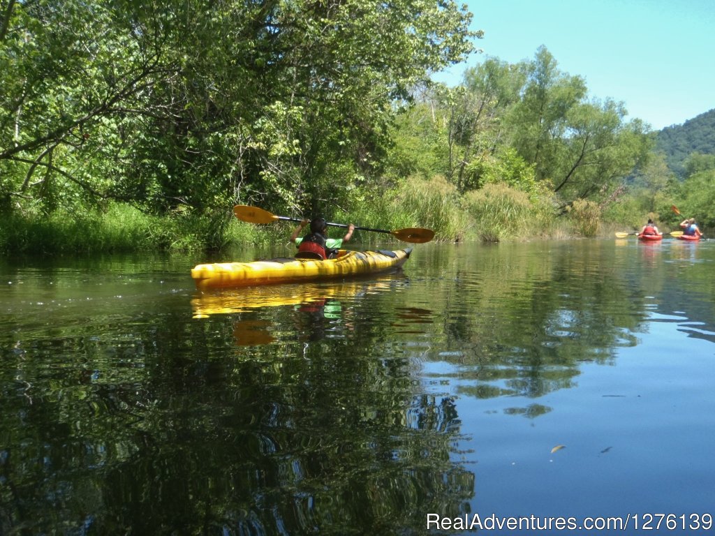 Smoky Mountain Kayaking | Image #6/8 | 