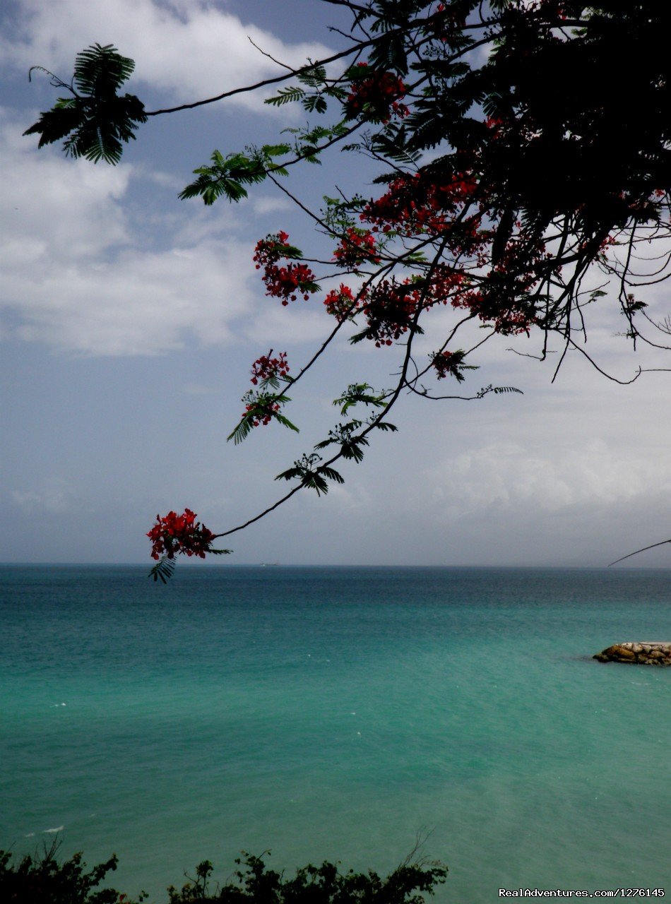 E.Gwada Hostel | Le Gosier, Guadeloupe | Youth Hostels | Image #1/6 | 