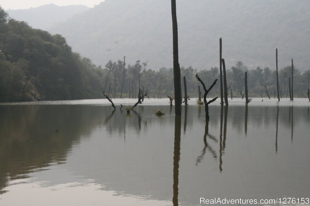 Sariska National Park | Image #15/26 | 