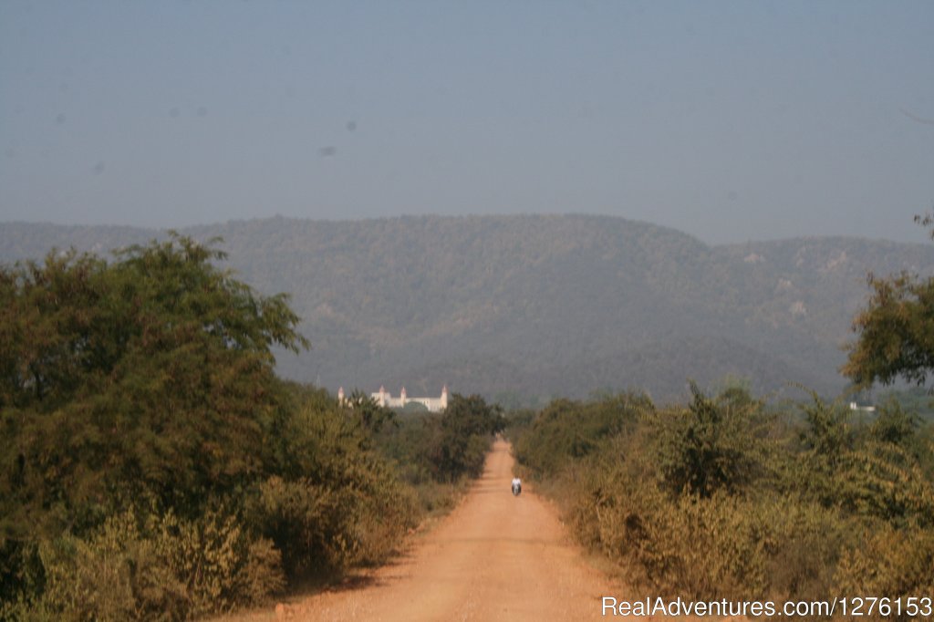 Sariska National Park | Image #19/26 | 