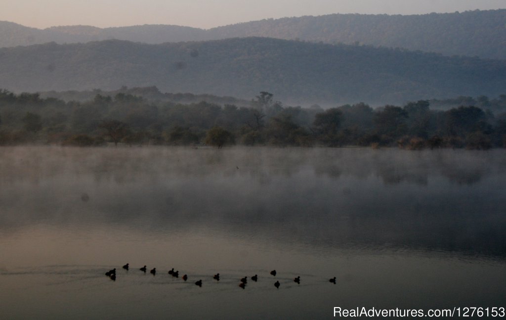 Sariska National Park | Image #22/26 | 