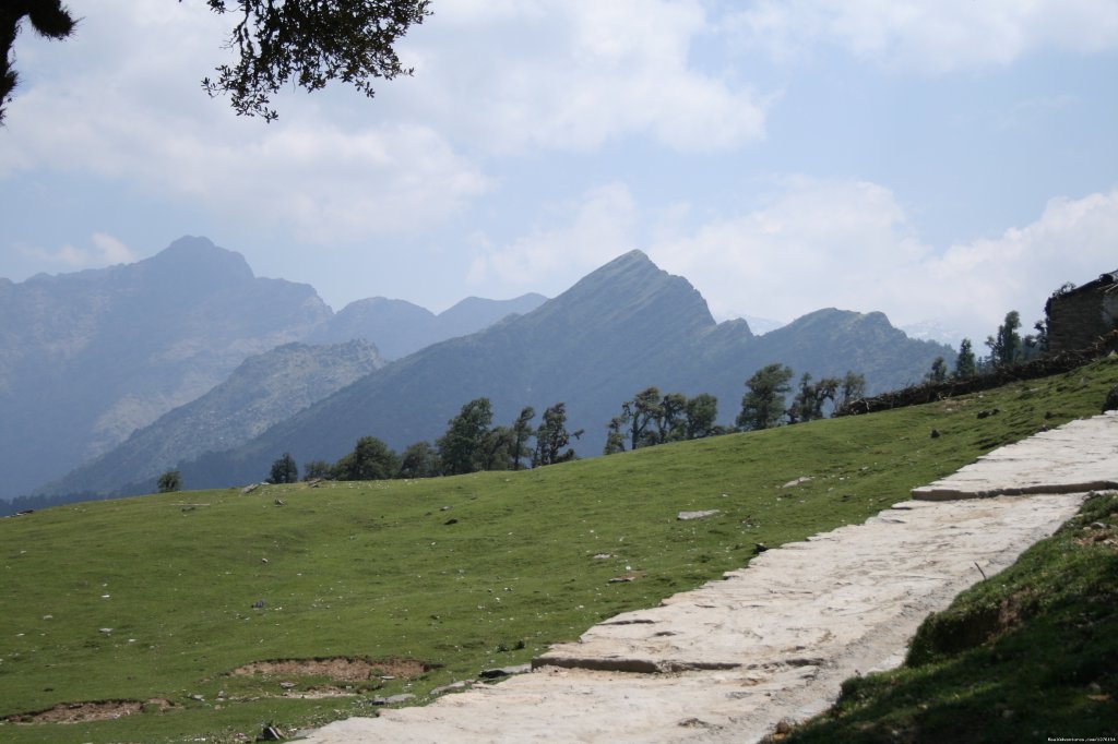 Trek Into Rhododendron Forest | Trekking In The Himalayas : The Roopkund Trek | Image #13/26 | 