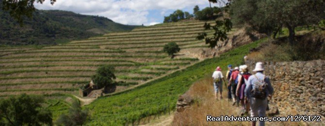 Hikking in Douro | Douro Vineyards Hike 8D | Image #2/16 | 