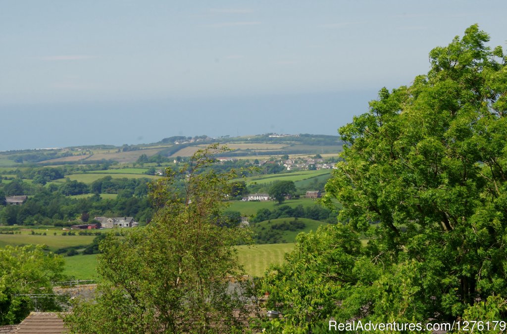 Views from Loweswater | Lake District 4 Star self catering | Image #6/15 | 