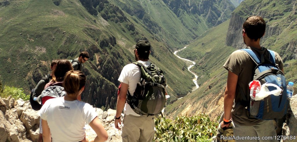 View of the Colca Canyon | Colca Canyon trek Arequipa -Per? | Image #2/20 | 