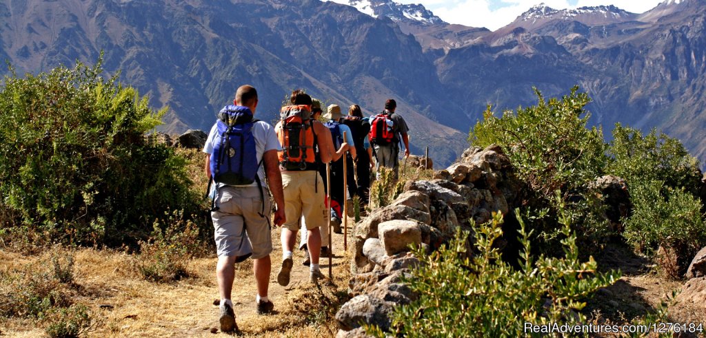 Having fun hiking down to the colca canyon | Colca Canyon trek Arequipa -Per? | Image #3/20 | 