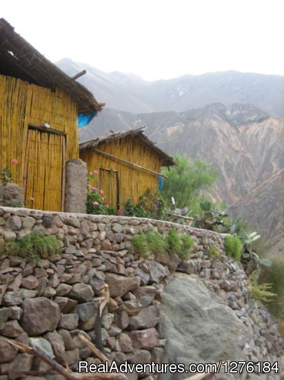 Colca Canyon trek Arequipa -Per? | Image #13/20 | 